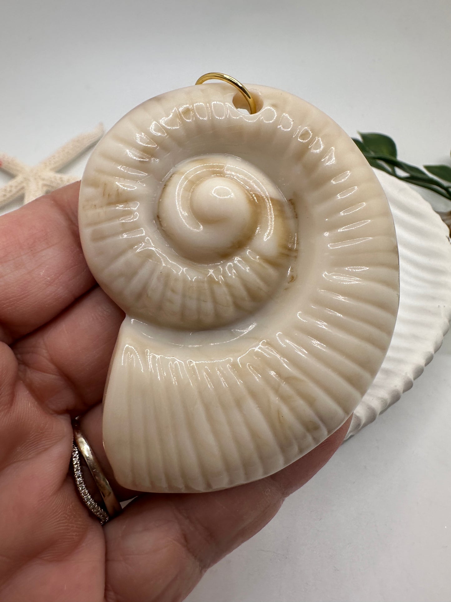 Caracol Pendant En Acrílico