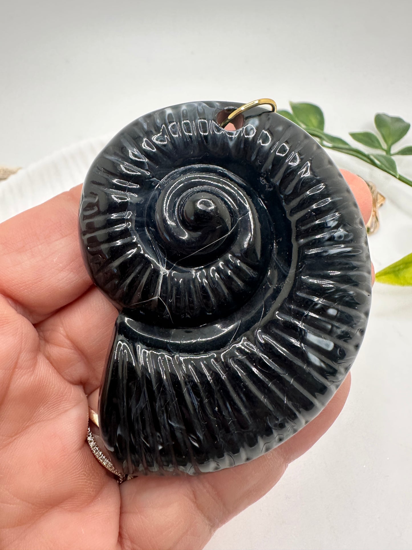 Caracol Pendant En Acrílico