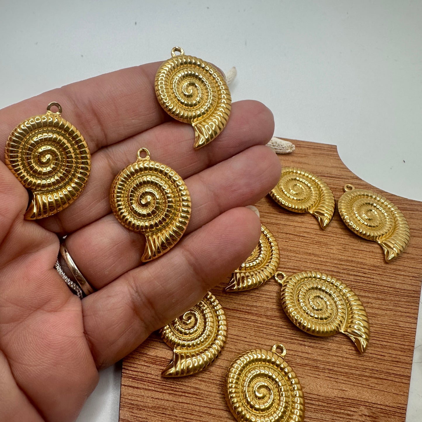 Caracol en Stainless Steel