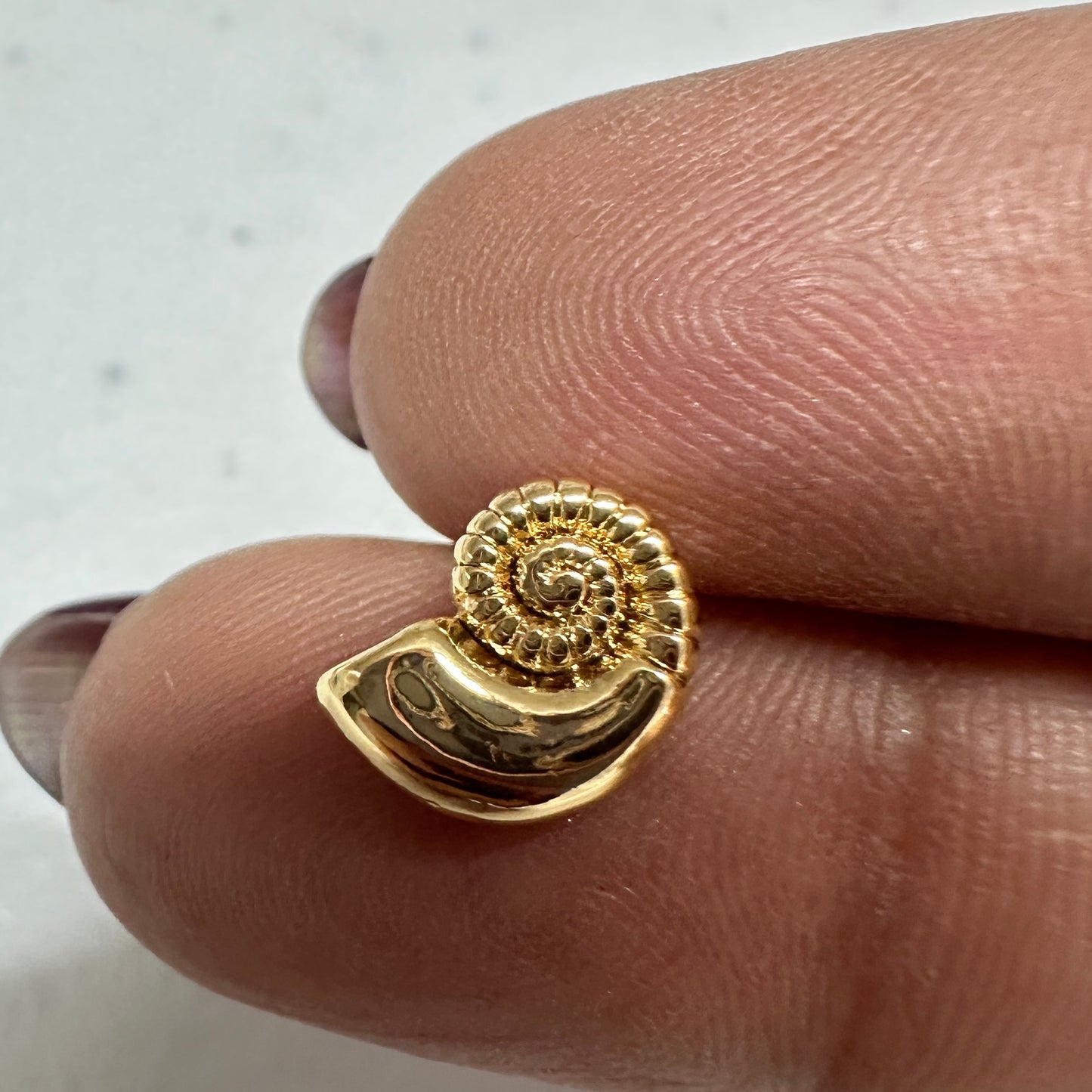 Separador en forma de Caracol