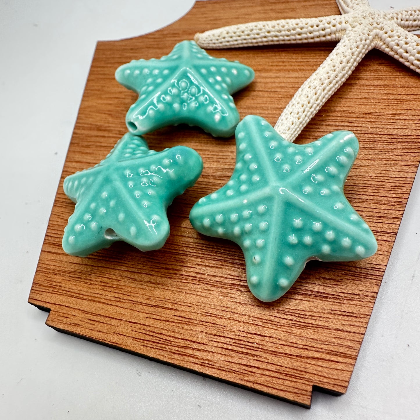 Estrella de Mar en Porcelana Turqueza