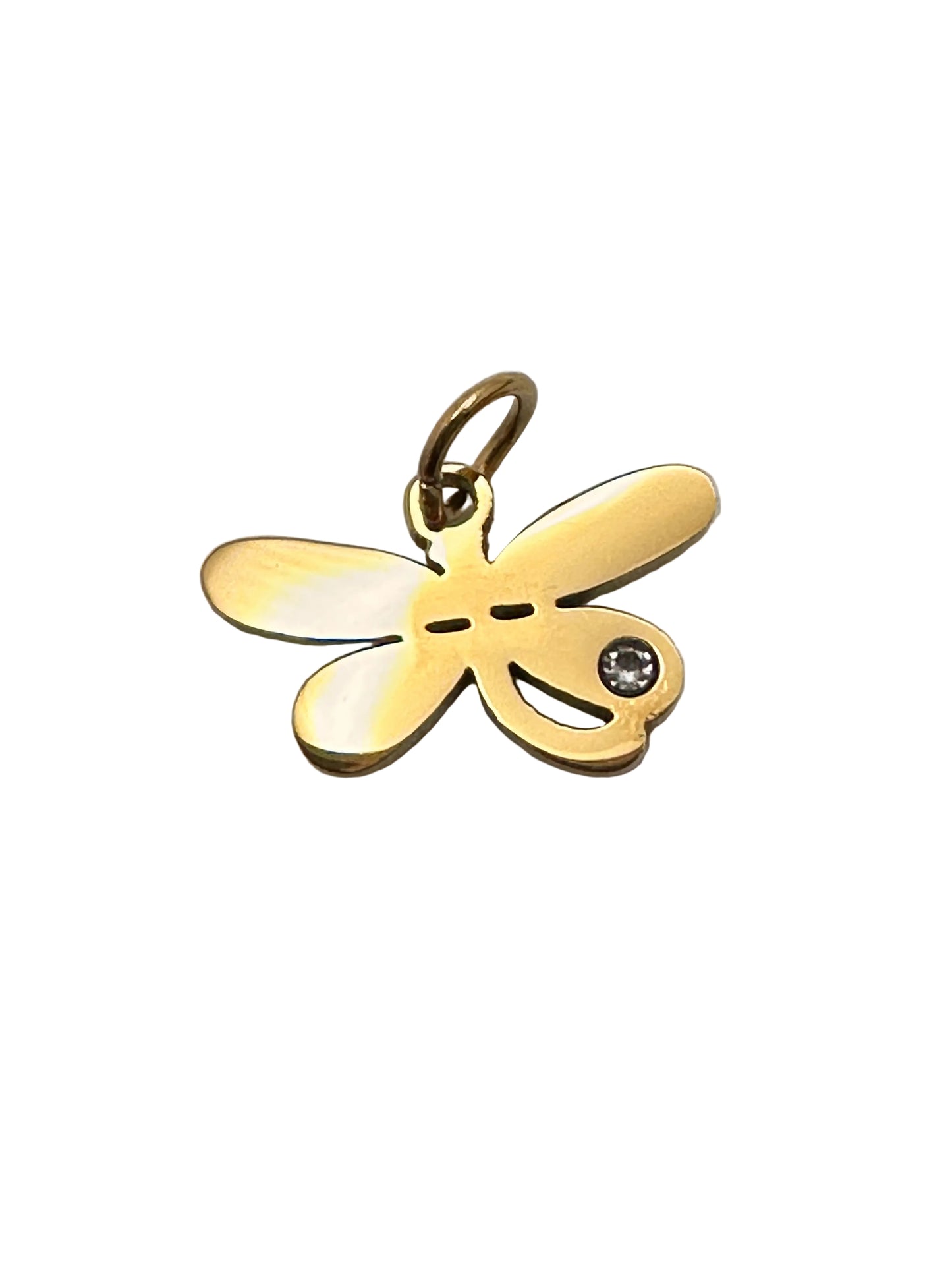 Libélula en Stainless Steel
