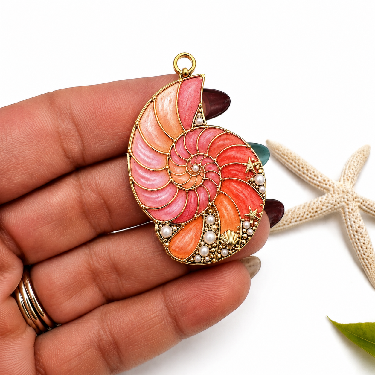 Caracoles (Nautilus) Acrilico Impreso