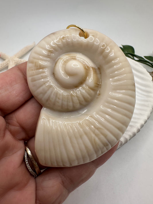 Caracol Pendant En Acrílico