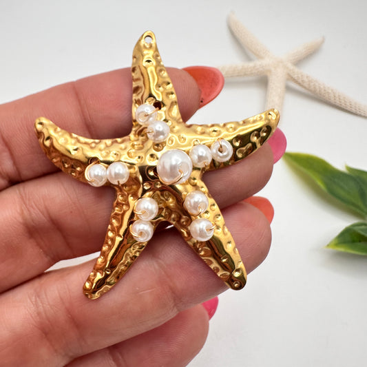 Estrella de Mar en Stainless Steel 50mm
