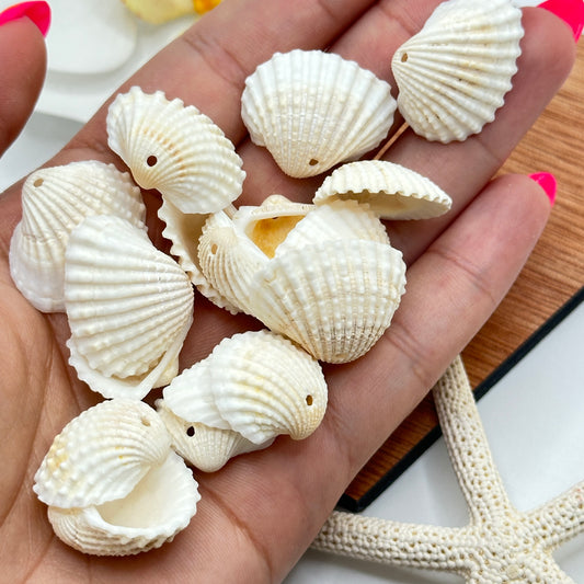Conchas Naturales