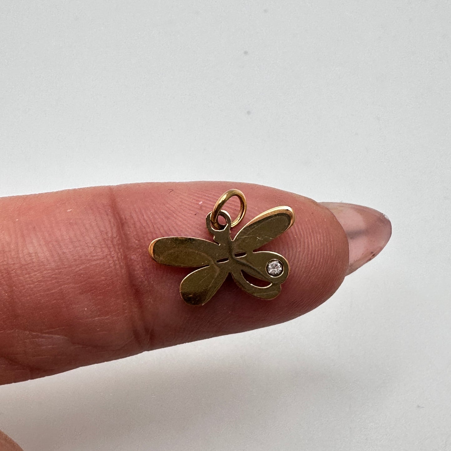 Libélula en Stainless Steel