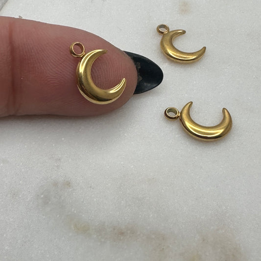 Charm de Luna en Stainless Steel