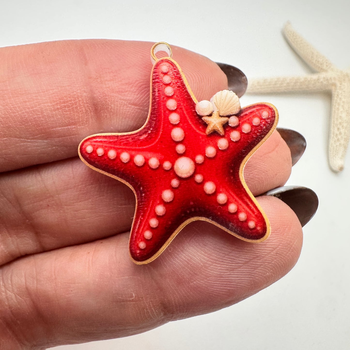 Estrella de Mar en Acrílico Impreso