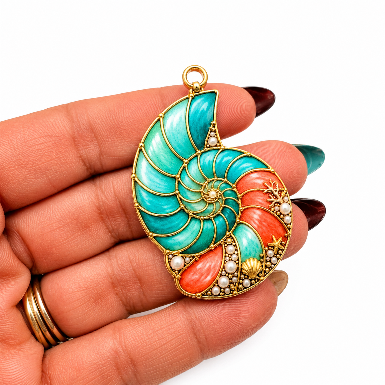 Caracoles (Nautilus) Acrilico Impreso