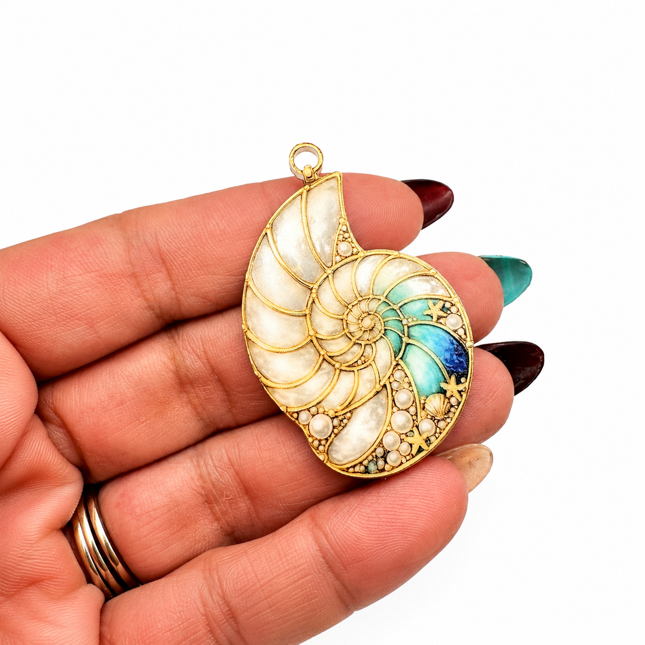 Caracoles (Nautilus) Acrilico Impreso