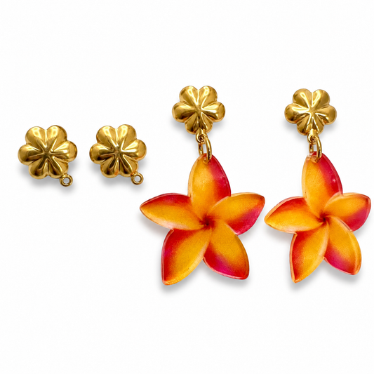 Bases de Aretes SS